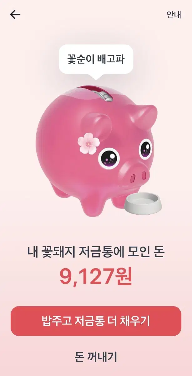 토스 꽃돼지 저금통 해주실분